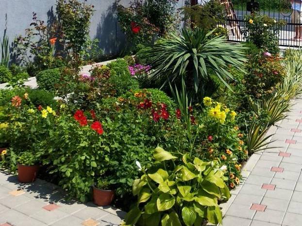 Vila Mila Riverside Apartments Смедерево Экстерьер фото